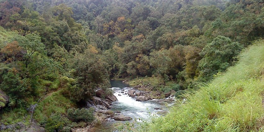 Silent-Valley-National-Park-1