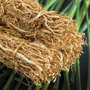 Dried Vetiver Root
